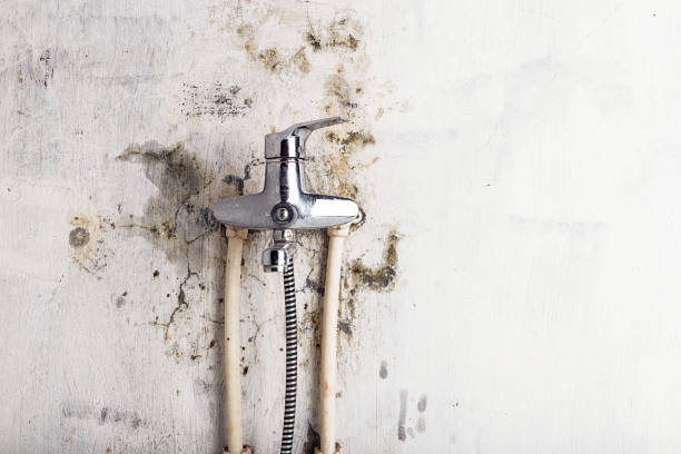 Best Mold Removal Company Near Me  in Sioux Falls, SD