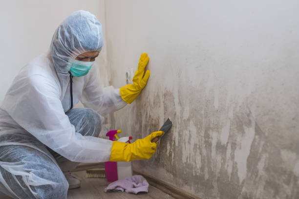 Best Residential Mold Removal  in Sioux Falls, SD