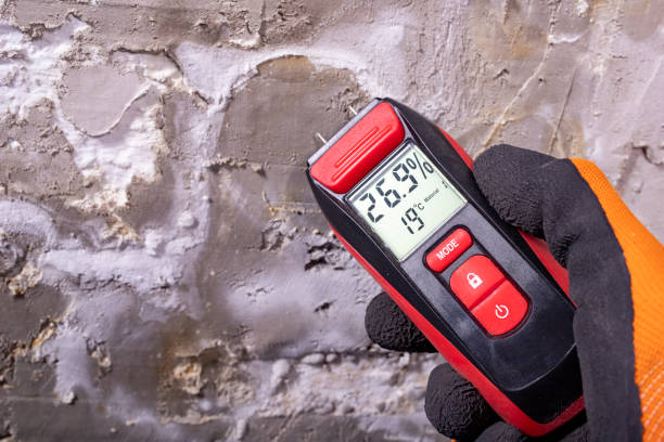 Best Professional Mold Removal  in Sioux Falls, SD